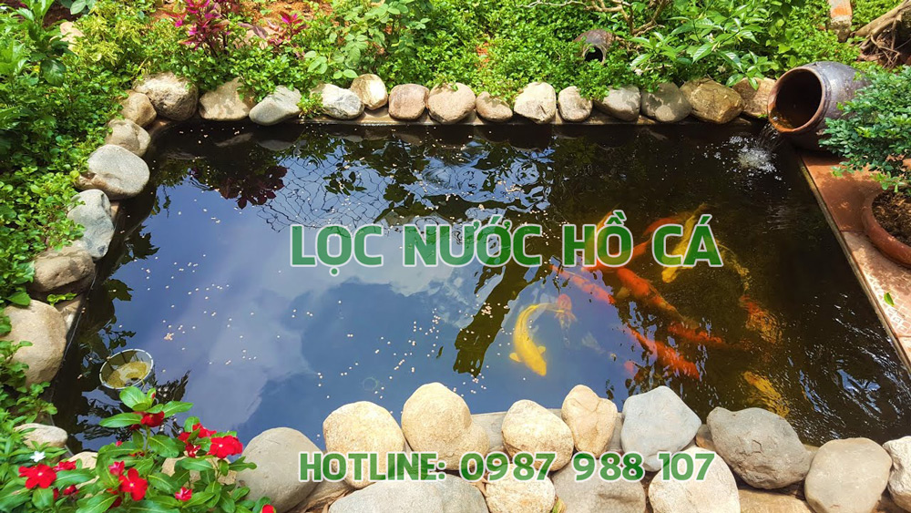 HỆ THỐNG LỌC NƯỚC HỒ CÁ