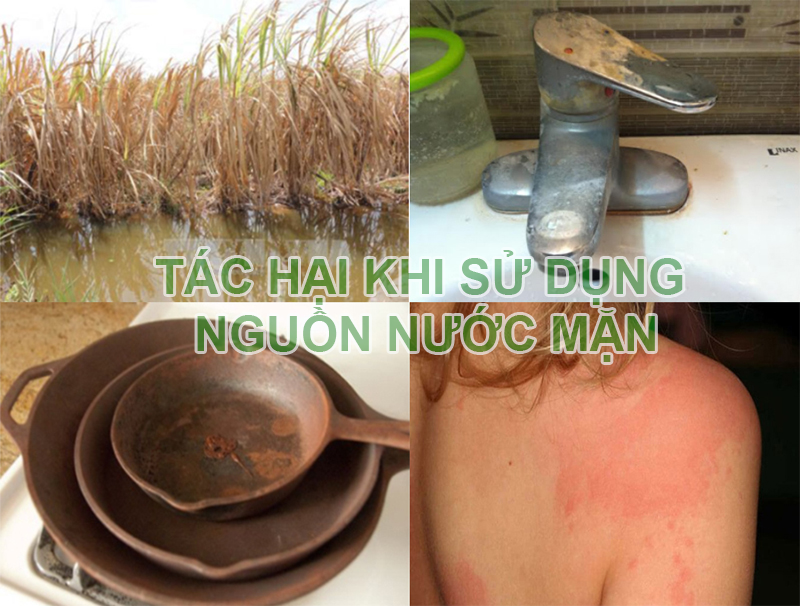 Tác hại khi sử dụng nguồn nước mặn